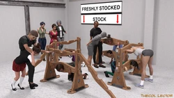 [Thecol Lector] Stocks And Bonds