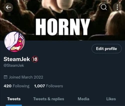 [Twitter] SteamJek / SteamJek2