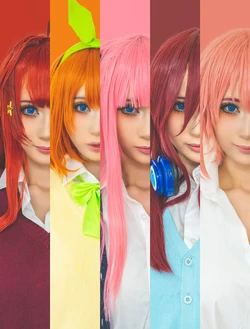 Chamomile Chami - Quintuplets