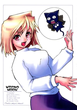 (C61) [UchiLA (KuroC1)] MICRO MOON (Tsukihime) [korean]