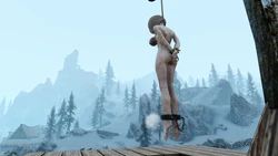 tarot13 pixiv skyrim bondage hanging