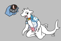 [Qundium/Hacony] Cocolab