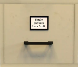 [Akahando] Lara Croft - Single Pictures