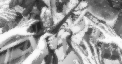 [大歓喜] 白濁のクリスマス