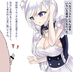 [Wakarani] Kyokon ni Sokuochi Suru Belfast (Azur Lane)