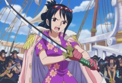 Sira - Tashigi X Pirates [AI Generated]