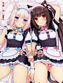 (C84) [NEKO WORKs (Sayori)] Nekopara 01  [English] [MTL]