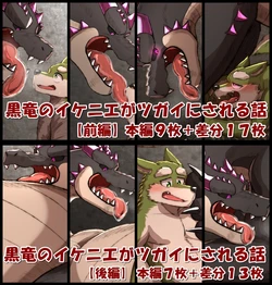 [Higirai] The Black Dragon's Sacrificial Mate (English)