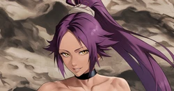 [Yoshio] Yoruichi (BLEACH)