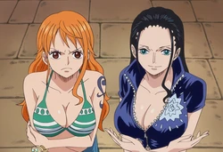 [Sticky] Nami & Robin 3P [ai generated]