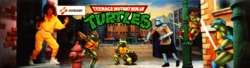 Teenage Mutant Ninja Turtles Game Materials