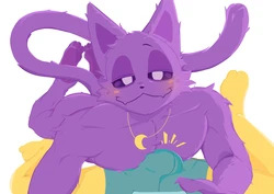 [jakiramram] CATNAP & DOGDAY (Poppy Playtime)