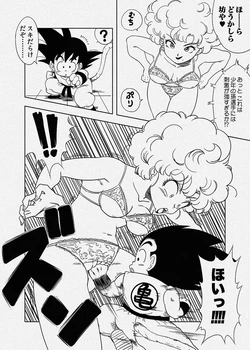 [Amedama Akihito] Ranfan ni Kokan Punch (Dragon Ball)