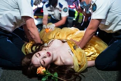 Crowd Crush 2026 (AI Generated)