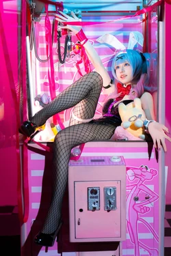 双木扶苏 绝区零 兔子洞