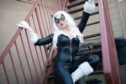 Alicornia – Black Cat