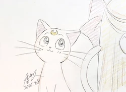 Sailor moon art compilation