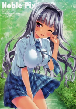 (C85) [2D Rocket (Yamakaze ran)] Noble Pix (THE IDOLM@STER)