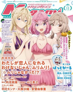 Megami Magazine #306 2025-11