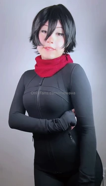 Mewava - Mikasa