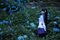 [G44不会受伤] 散华礼弥