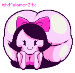 XMELOMOR24X