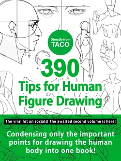 [TACO] Directly from TACO! 390 Tips for Human Figure Drawing [English]