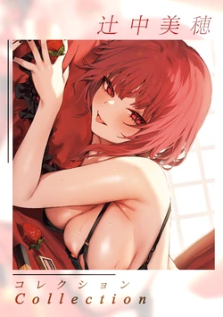 [Danimaru] 辻中美穂 Collection [Chinese]