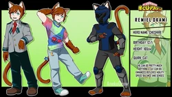 Pinterest boku no hero and superhero