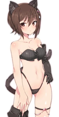 Shimada Fumikane 5/2026 - 7/2026