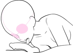 Lewd Mouth: New Explanations & Pose Collection (Traceable)