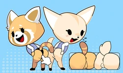 GOSGOZ