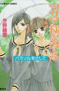 Maria-sama ga Miteru Volume 11