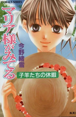 Maria-sama ga Miteru Volume 12