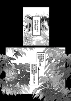 相捕于常青森林丨 作者:くらげバイパス／果甘酢 [路的个人汉化] [Chinese] (Pokémon)