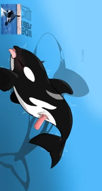 一些海洋哺乳类😋(Some marine mammals 😋)