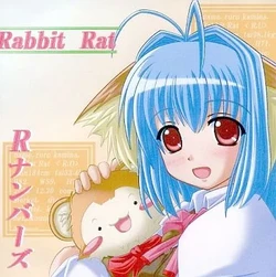 [Rabbit Rat] R Numbers