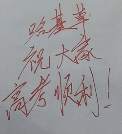 ［哈基草］明日方舟:危🐔合约:堕博行动[AI Generated]
