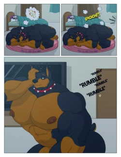 [Juano] Guard Dog