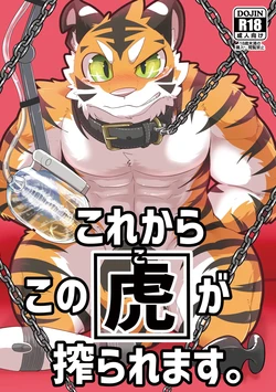 [さむ]接下来这只老虎要被榨汁了。 [Digital](Chinese)金卡个人汉化