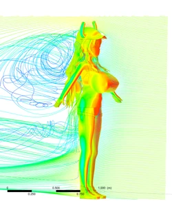 [N. Rabino] Analysis and Qualitative Effects of Large Breasts on Aerodynamic Performance and Wake of a “Miss Kobayashi’s Dragon Maid” Character [MISC]