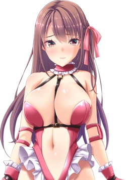[Guilty] Toriko no Homura ~In'yoku no Honoo ni Michita Chika Tougijou~ Character Set