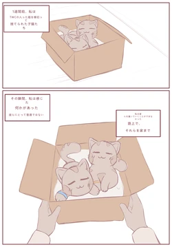 拾った子猫が女の子になりました [BluvyDev]