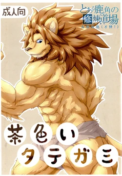 (Fur-st 2) [Soukuu (SKY, Sougo)] 狮子的茶色鬃毛 [Chinese]