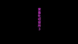 家畜牝収容所3