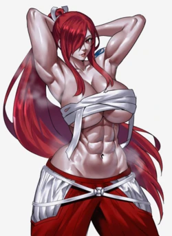 Erza Scarlet, Chun Li (by Zinfian [Fanbox])