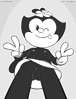 [Garabatoz] Animaniacs