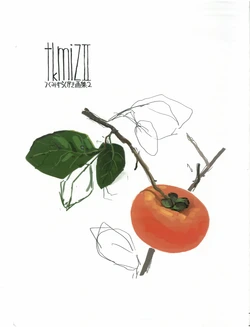 tkmizII: Tsukumizu Graffiti Art Book 2