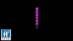 家畜牝収容所3（有条色狼汉化）