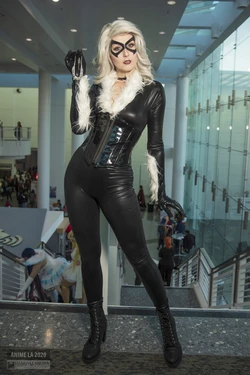Black Cat Cosplay